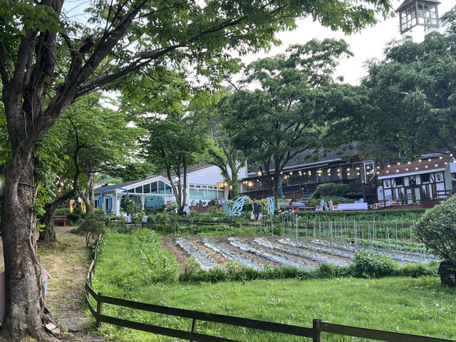 경기도 광주 한강변