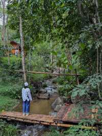 ฤดูฝนที่บ้านป่าเหมี้ยง จ.ลำปาง 🏡⛰️🌧️🌳