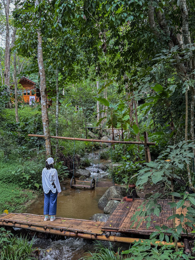 ฤดูฝนที่บ้านป่าเหมี้ยง จ.ลำปาง 🏡⛰️🌧️🌳