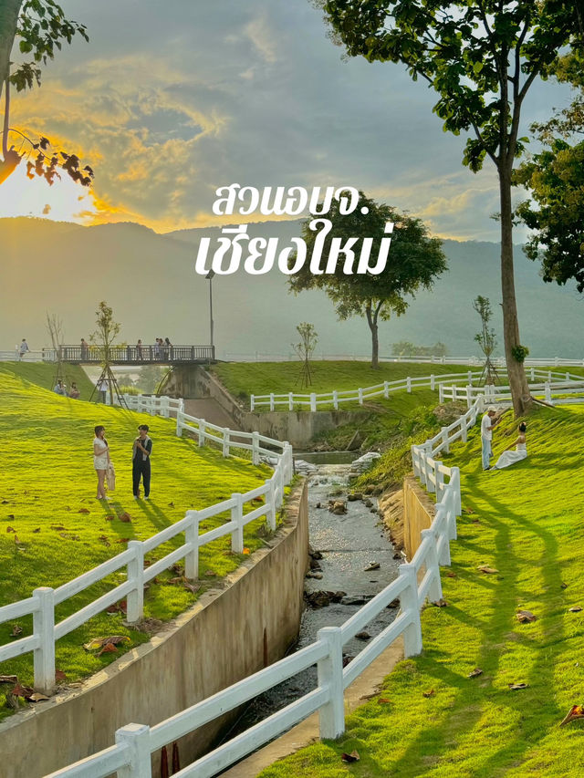 นั่งชิลๆที่ สวนอบจ.เชียงใหม่ 🌳🍃
