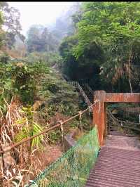 🌲嘉義梅山秘境｜竹坑溪步道：瀑布、吊橋、水濂洞，一次滿足森林系的冒險魂！