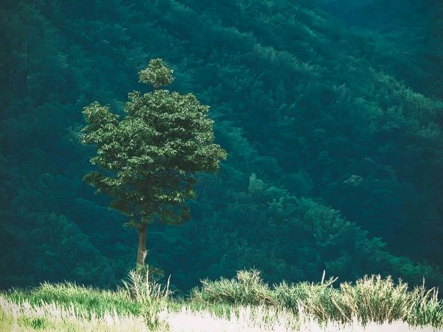 ผาซ่อนแก้ว ⛰️ เพชรบูรณ์ หน้าฝน