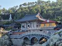 韓國🇰🇷 - 釜山最美寺廟海東龍宮寺