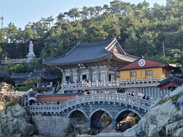 韓國🇰🇷 - 釜山最美寺廟海東龍宮寺