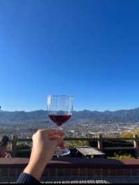 🍇ぶどうの楽園へ！勝沼ぶどう郷で味わう贅沢なひととき🍷