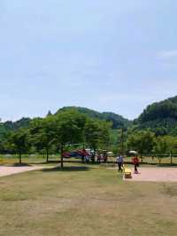 벚꽃 대신 노란꽃 비