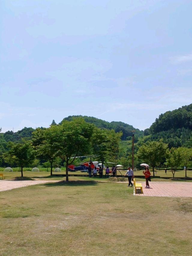 벚꽃 대신 노란꽃 비