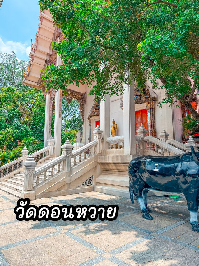 วัดดอนหวาย