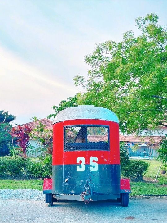 Gallop Into Serenity: Discover the Magic of 3S Equestrian Cyberjaya 🐎🌿