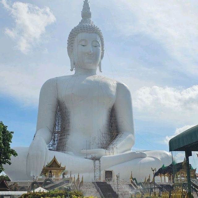 🪷วัดม่วง พระพุทธรูปใหญ่ที่สุดในโลก🪷