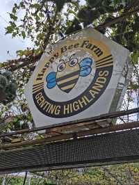 Happy Bee Farm & Insect World, A Buzzing Blend of Nature and Discovery