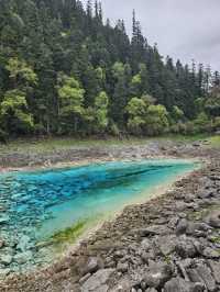 Ultimate Jiuzhaigou Valley Guide: China's Most Breathtaking UNESCO Paradise