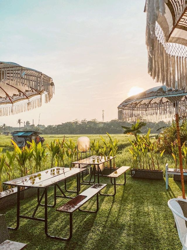 Saibora Cafe & Bar