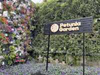 🌸 Blooming Lovely at Flora Park, Cameron Highlands