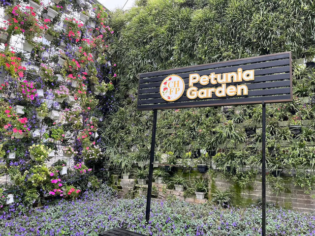 🌸 Blooming Lovely at Flora Park, Cameron Highlands