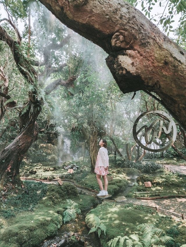 Stepping Into a Fairy Tale in Chiang Mai 🌳🧚‍♀️