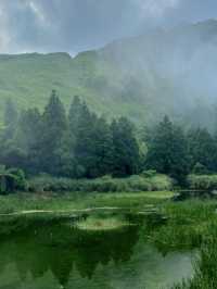 🌿【擎天崗一日遊攻略】高山草原 × 野餐散步 × 陽明山秘境之旅⛰️ 