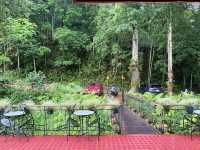 First Valley Coffee Estate – กาแฟดี วิวหลักล้าน