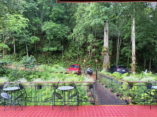 First Valley Coffee Estate – กาแฟดี วิวหลักล้าน