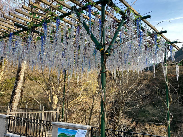 Hakone Venetian Glass Museum: A Glimmering, Yet "One-Time" Visit for Me ✨