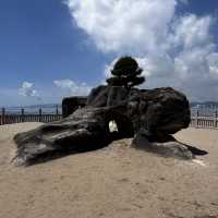 🌅 Salt & Stone: Gulangyu’s Seaside Secrets Beyond the Crowds!
