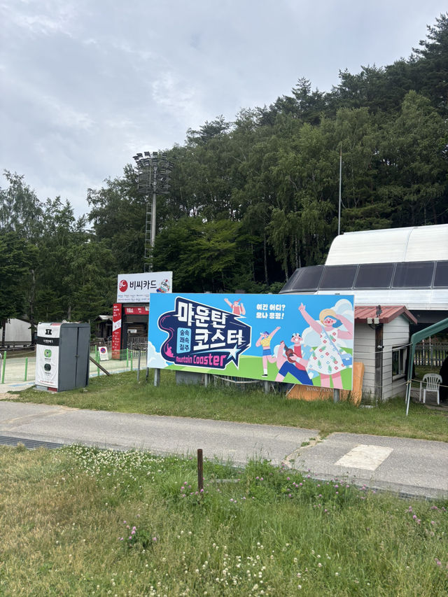 🇰🇷평창 1박 2일 | 대관령부터 용평까지 알차게 다녀온 코스