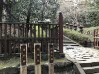 仙台-瑞鳳殿（需要一點腳程）