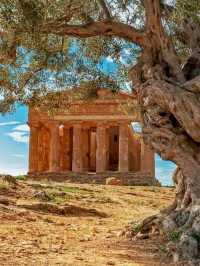 Valley of the Temples (Agrigento)