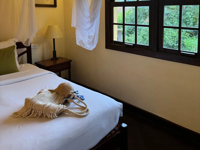 Da Lat, Vietnam: My Perfect Mid-to-Late May Getaway! 🌸🌧️