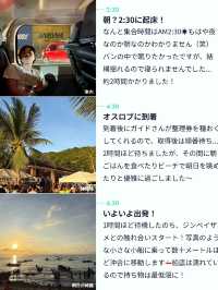【こんなに近くに？👀】セブ島の大迫力ツアー🦈✨