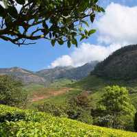 🌄 Munnar, Kerala – The Crown Jewel of the Western Ghats 💚