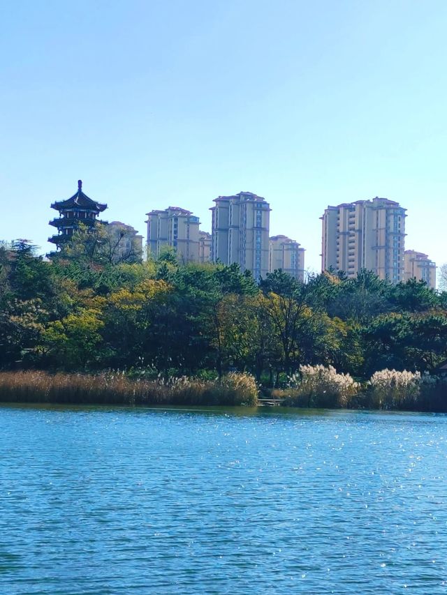 ~長東公園~都市絮語~