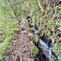 頂湖社區-草山瀑布-猴崁水圳步道-竹子湖歡樂行