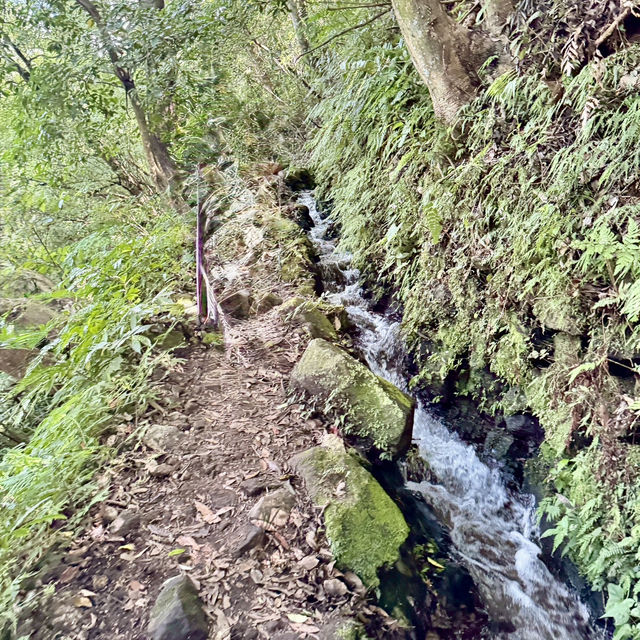 頂湖社區-草山瀑布-猴崁水圳步道-竹子湖歡樂行