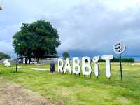 Rabbit.to