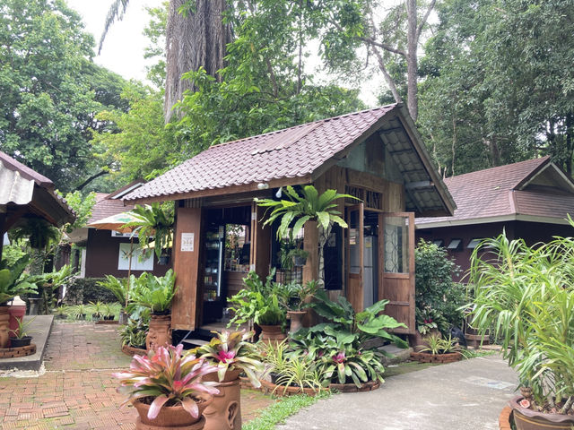 เที่ยวป่าในเมือง สวนรุกขชาติเชียงใหม่