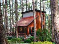 Doi Bo Luang Forest Park