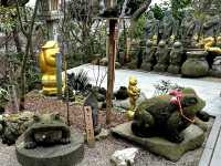 Nyoirinji Temple หรือวัดกบ🐸