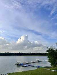 ไปให้อาหารปลากัน @บึงหนองบอน กทม 🌇🐟