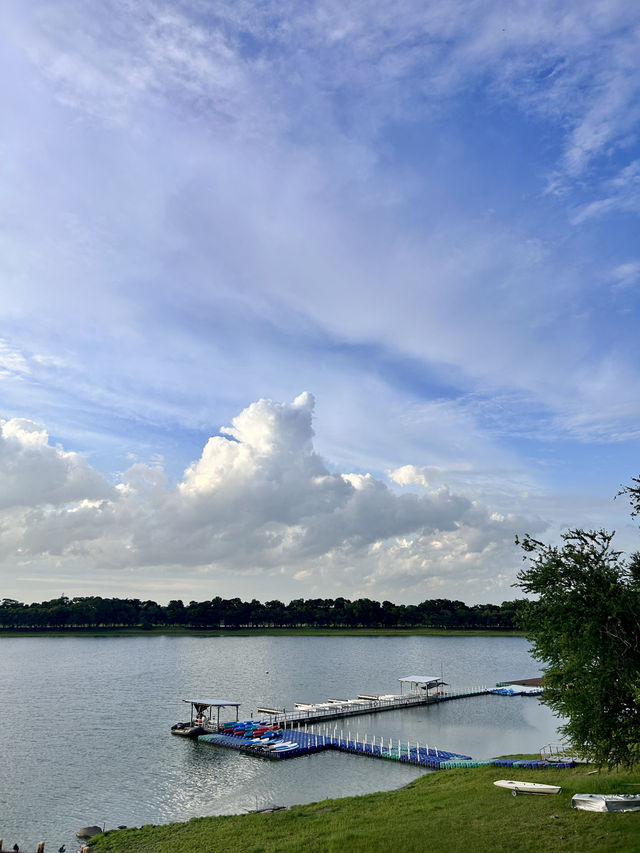 ไปให้อาหารปลากัน @บึงหนองบอน กทม 🌇🐟