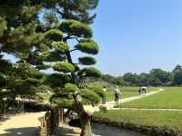 冈山后乐园一日游｜日本三大名园·四季美景全收录