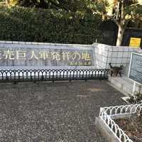 【千葉　習志野　谷津干潟公園と谷津バラ園】 
