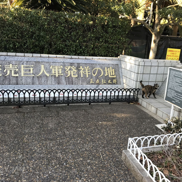 【千葉　習志野　谷津干潟公園と谷津バラ園】 