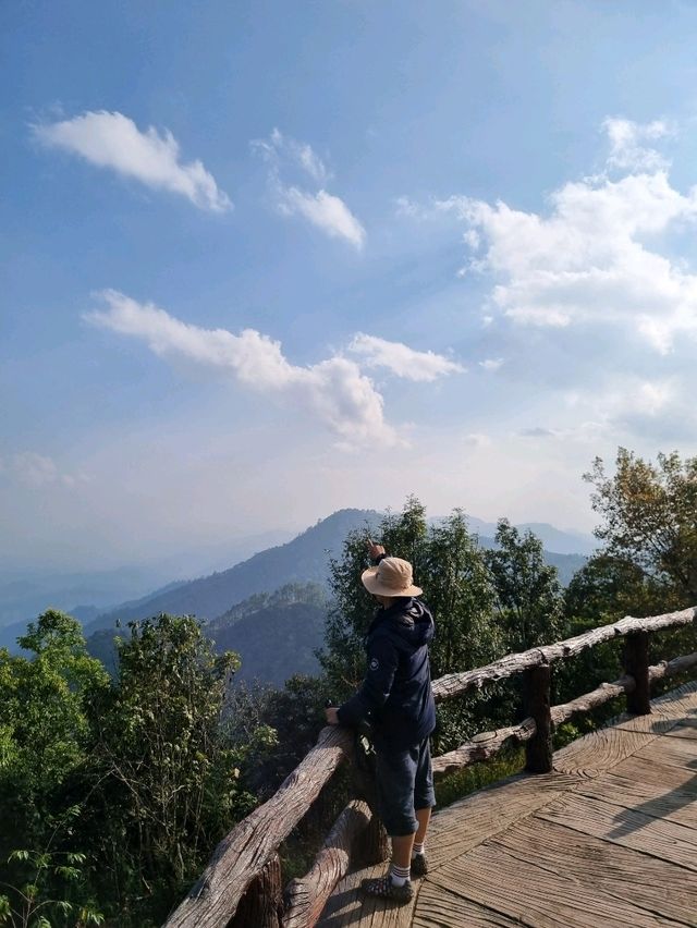 จุดชมวิวม่อนสน ดอยอ่างขาง จ.เชียงใหม่