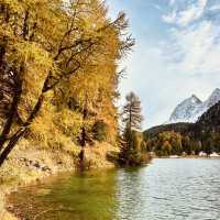🏔️ Solo Alpine Escape: Swiss Summer Magic