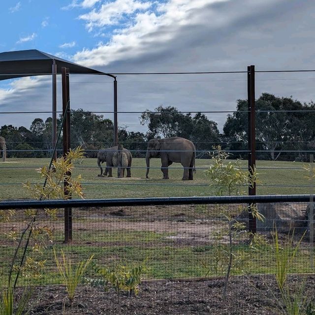Werribee Open Range Zoo – Melbourne