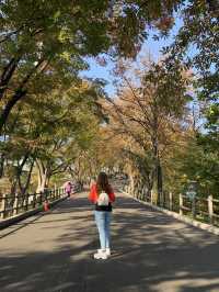 ✨ Touching the Sky at N Seoul Tower ✨