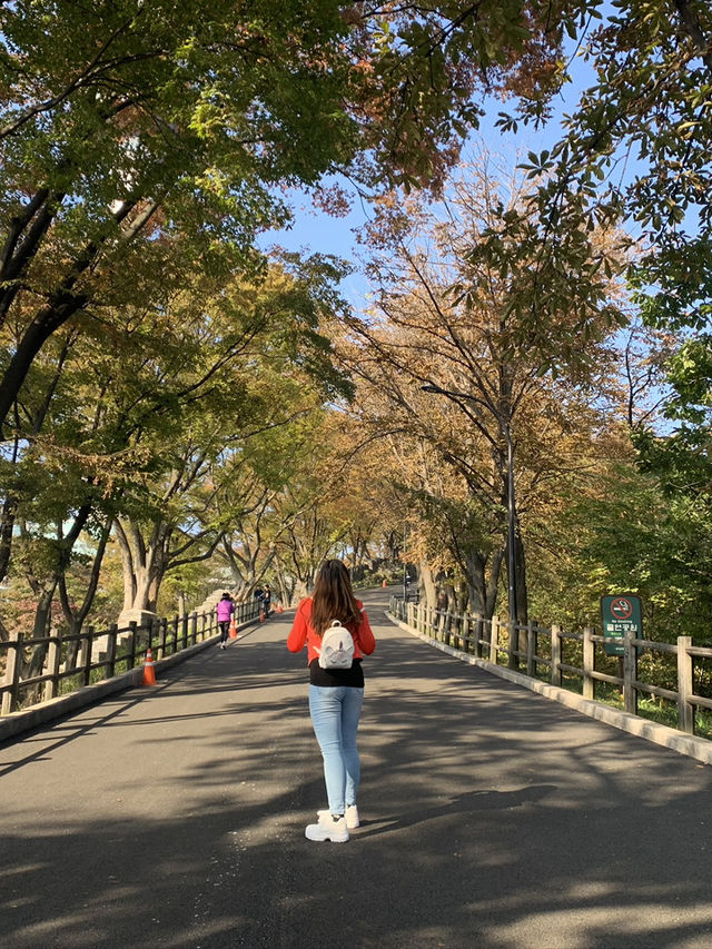 ✨ Touching the Sky at N Seoul Tower ✨