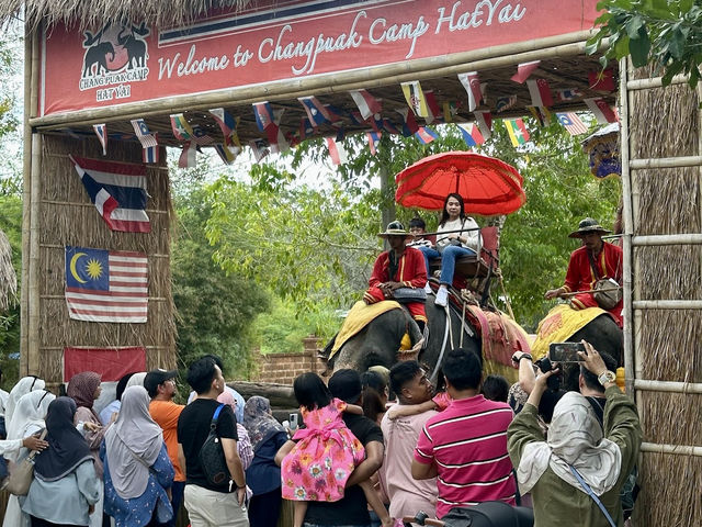 Chang Puak Elephant Camp
