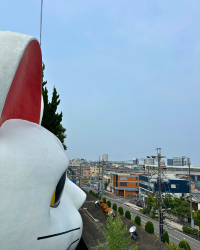 [Japan 🇯🇵] Tokonyan & Tokoname's Pottery Footpath: A Purr-fect Day Out!